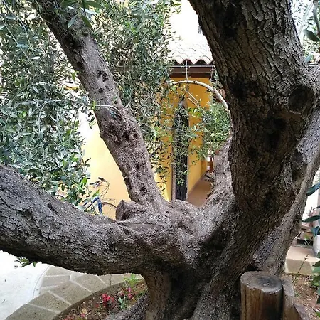 Casavacanze Peperosa
