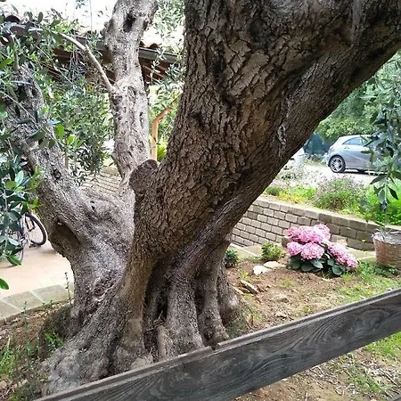 Casavacanze Peperosa Vakantiehuis